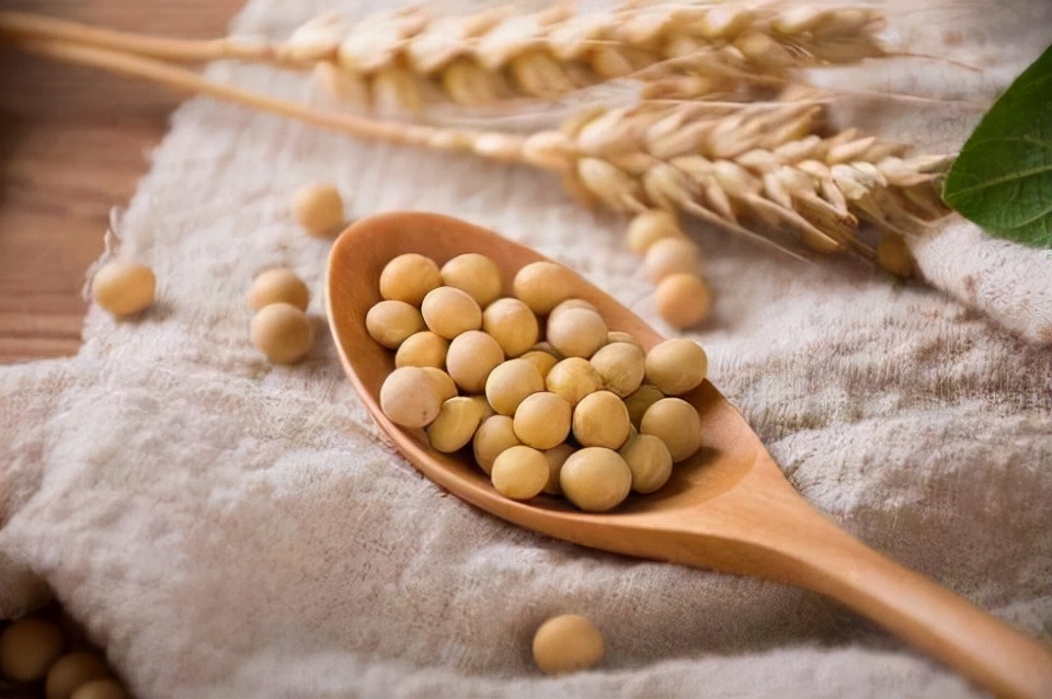 4种食物自带黄体酮女性朋友常吃,自带黄体酮的7种食物女性要多吃