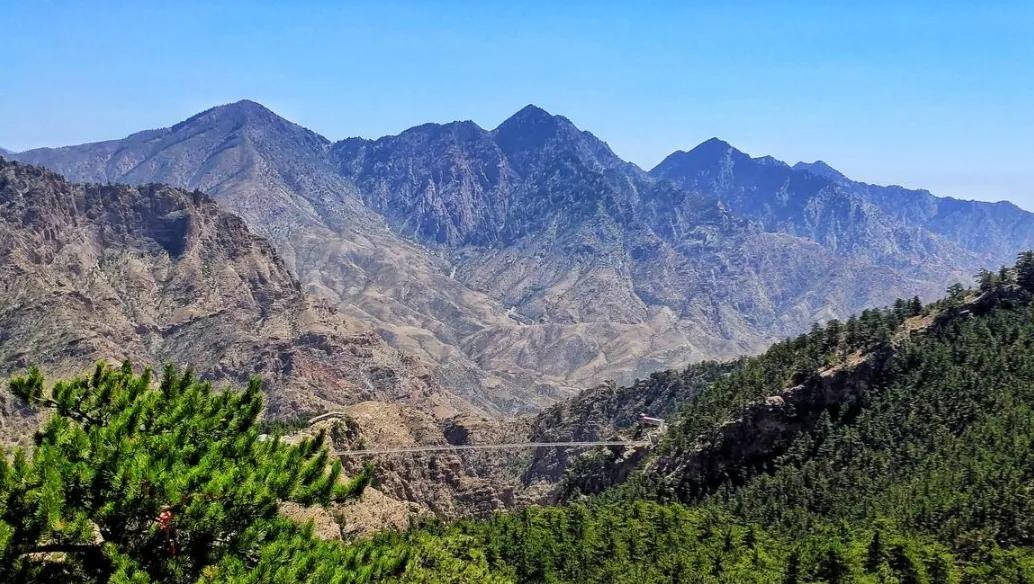 蝎子扎堆蜇人吗,东北有野生蝎子蜇人有生命危险吗