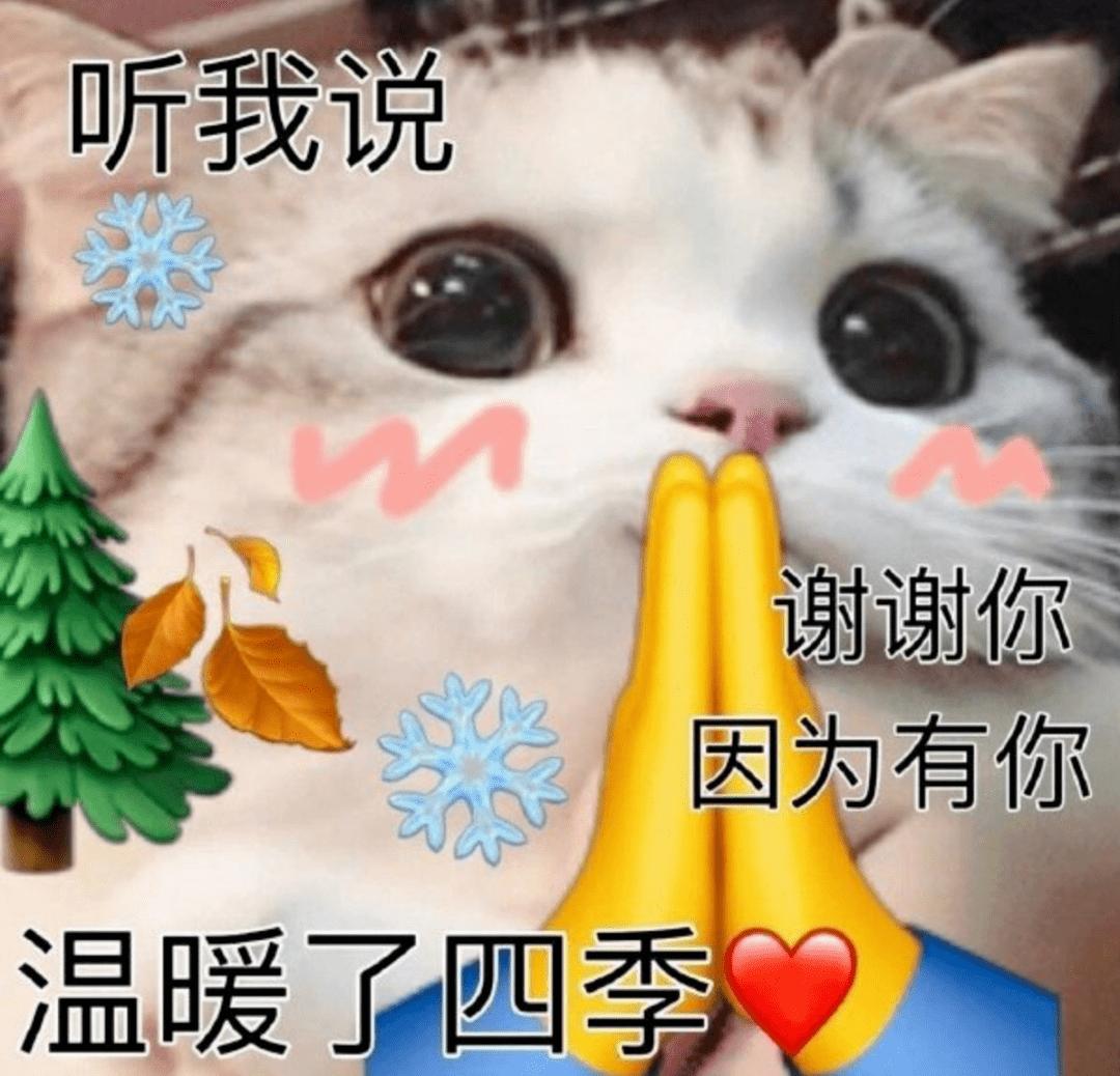 红米比小米好,为什么红米那么好还被嫌弃