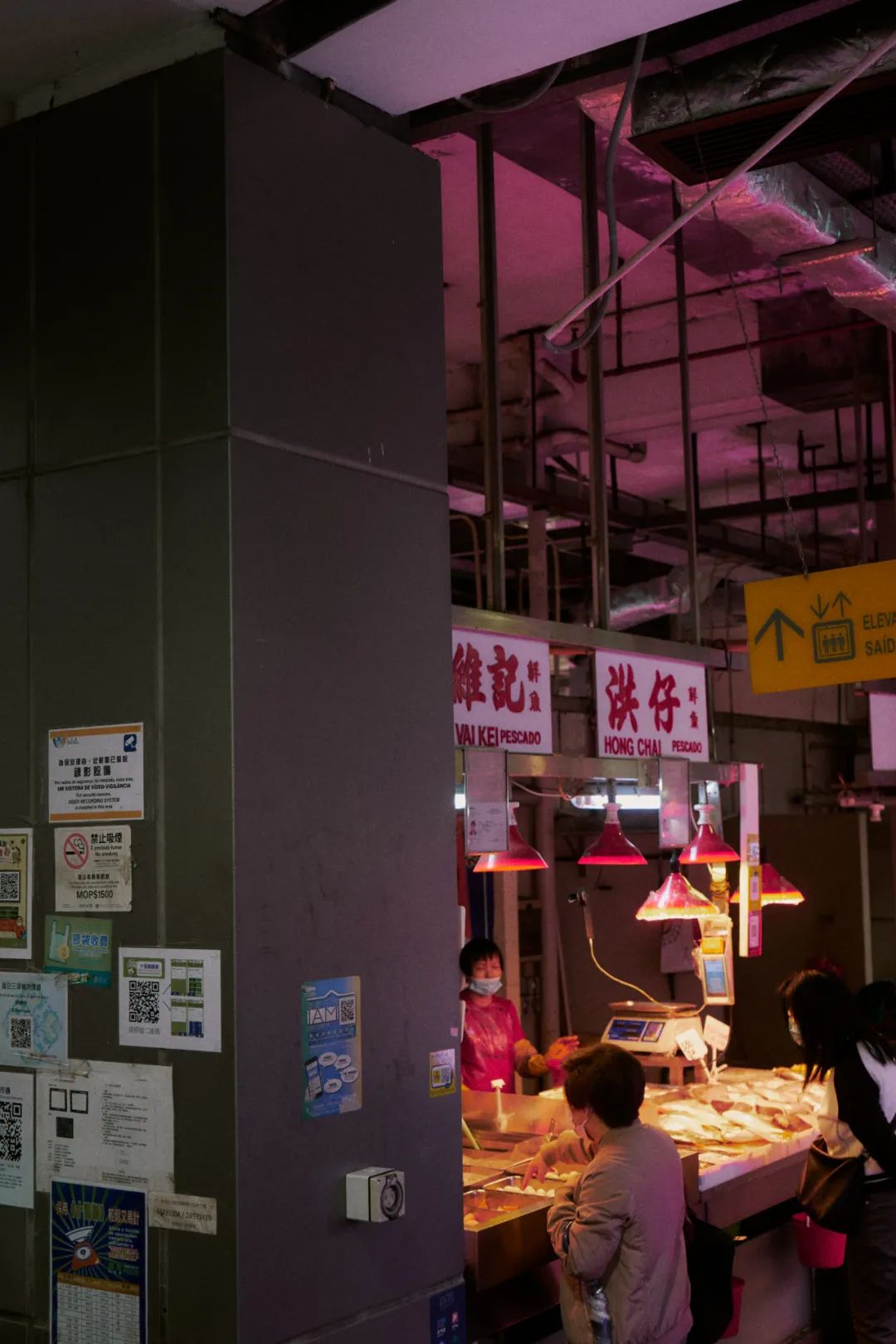 澳门是个创造奇迹的地方,澳门是世界第几大赌城