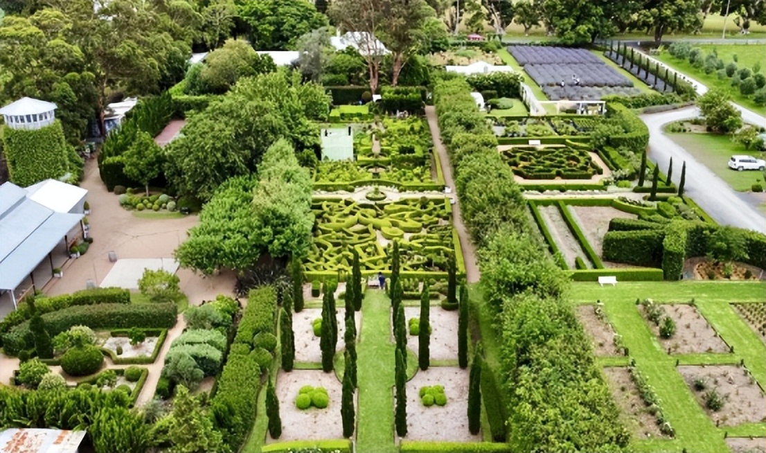 那些被我们忽略的风景,球球景观