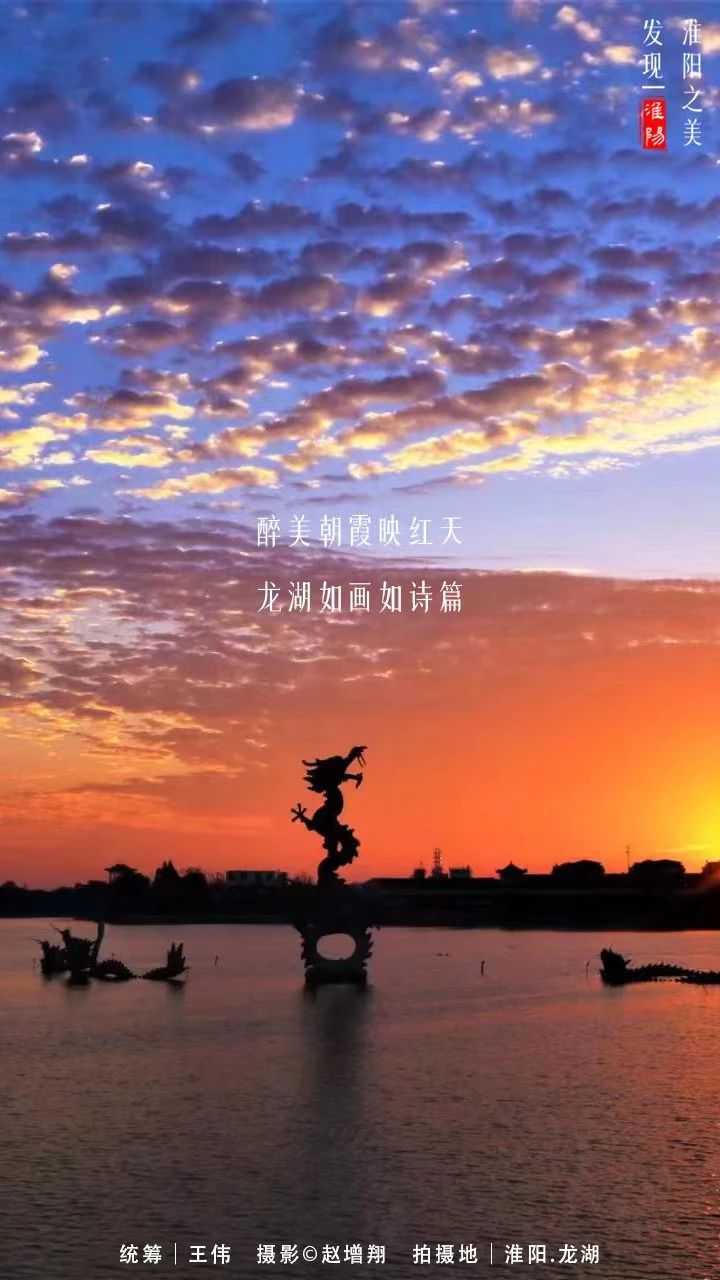 河南周口淮阳荷花节开幕会在哪里,周口淮阳荷花节开始了吗