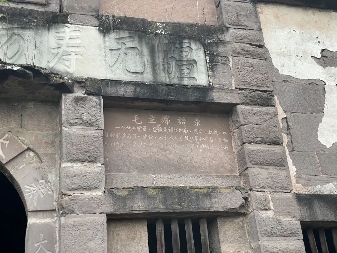 成都旅游豌豆尖,成都仰天窝近郊爬山推荐