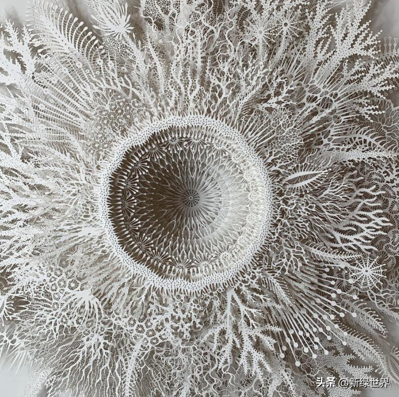 一组纸艺作品,令人惊艳的纸艺作品