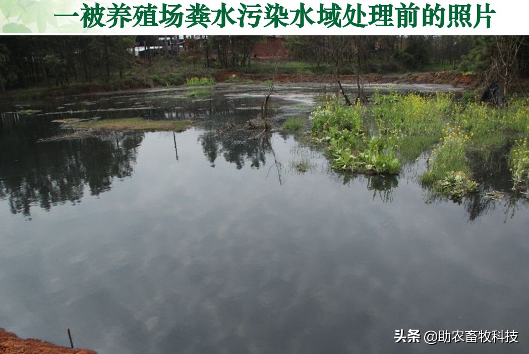 如何用生物技术解决污水处理,污水生物处理各种工艺详解