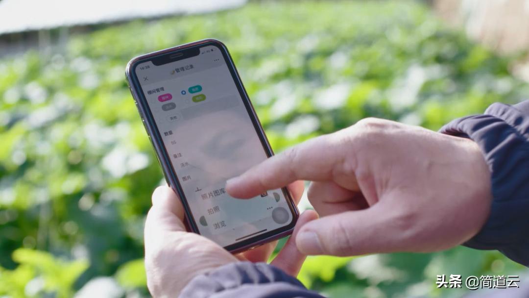 55岁的农村会计独立开发系统，让一众的“IT人”自愧不如！