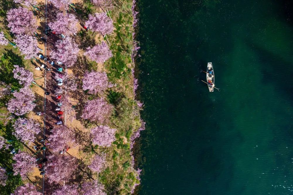 千万工程造就美丽乡村,百千万工程振兴美丽乡村