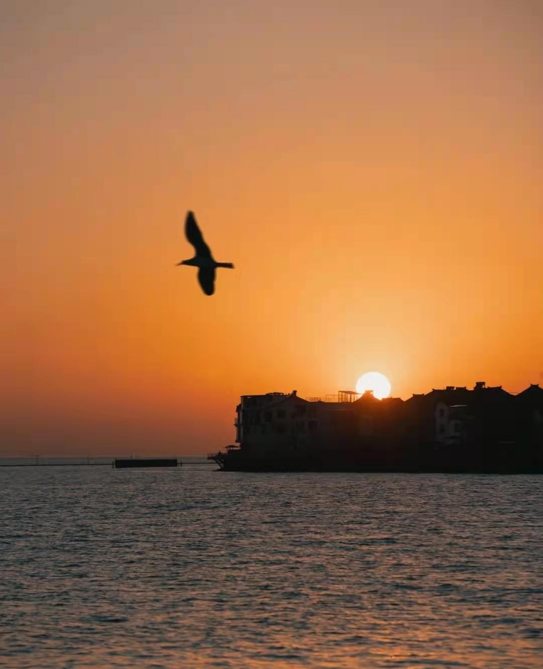 苏州西山岛打卡地灯塔,苏州五大绝美夜景打卡点