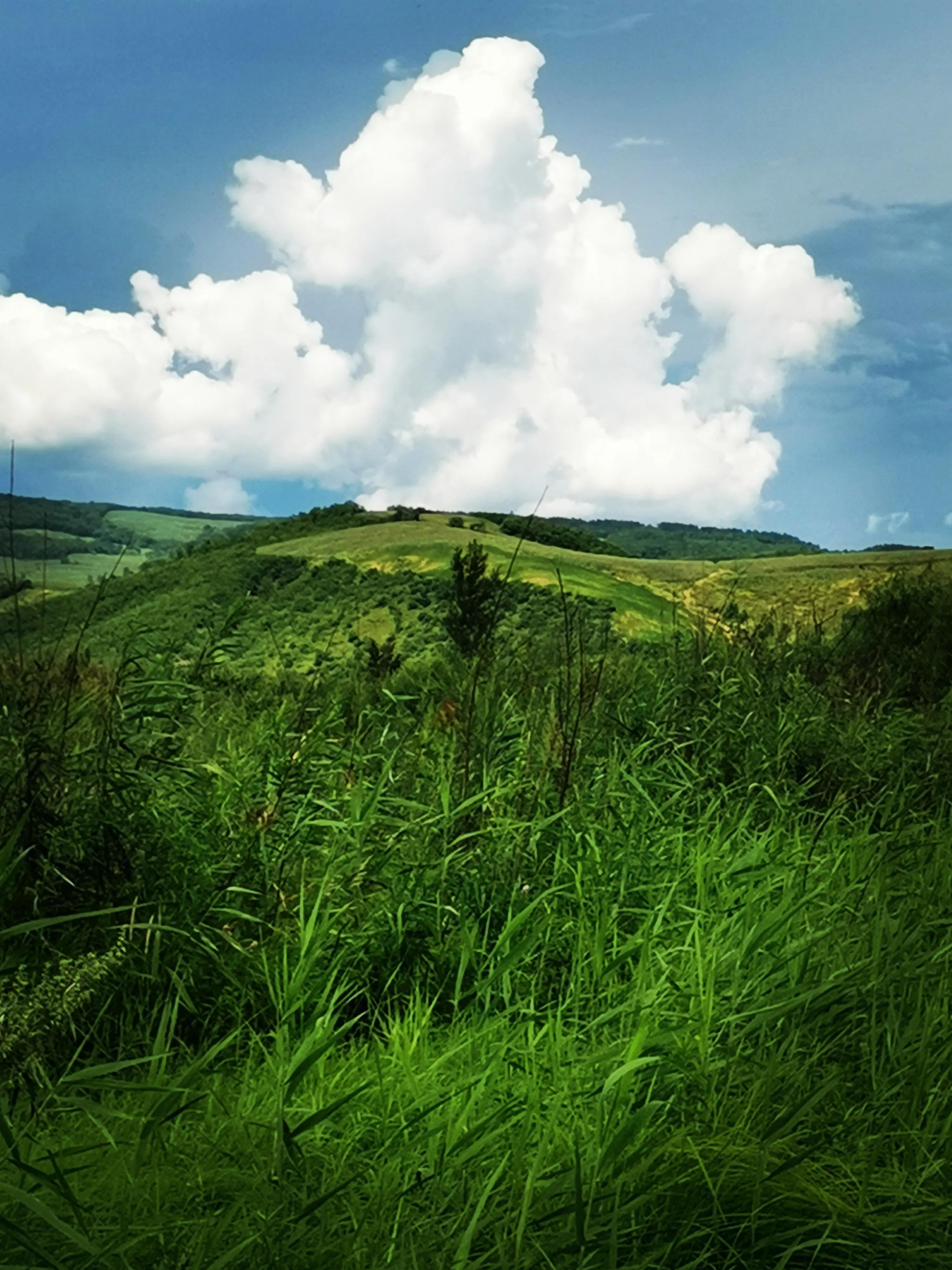 肖景志评论家,肖景志油画作品