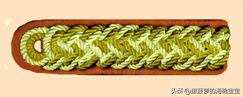 纳粹冲锋队用的什么枪,纳粹德军军衔图解