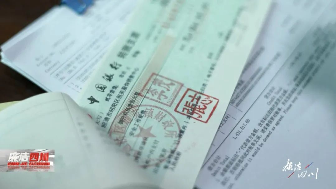 女会计的画皮,女会计的画皮人生完整