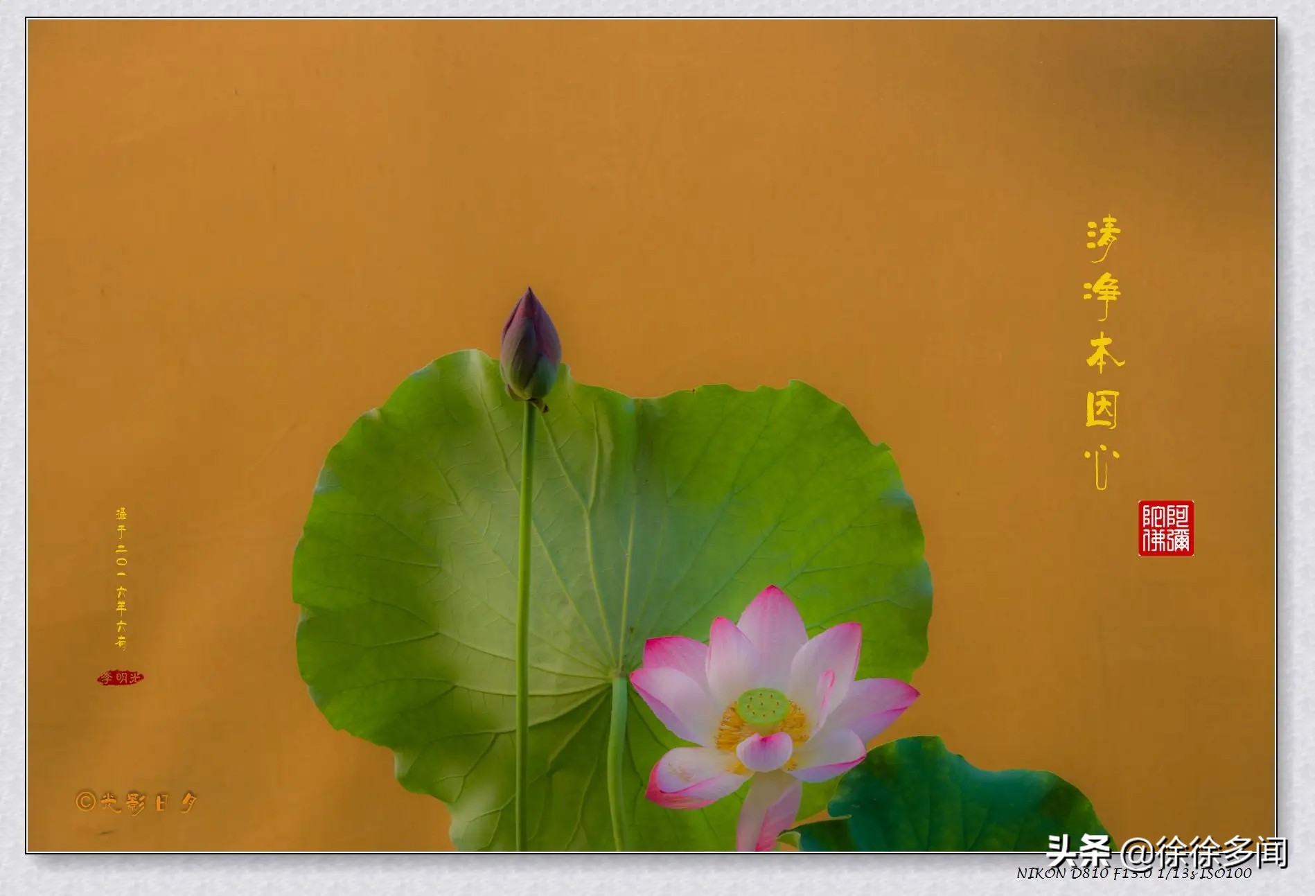 星云大师谈人生学,星云大师教人生存之道