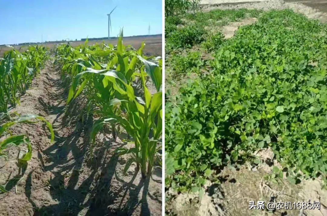 两代人接力,两代人创业成功案例