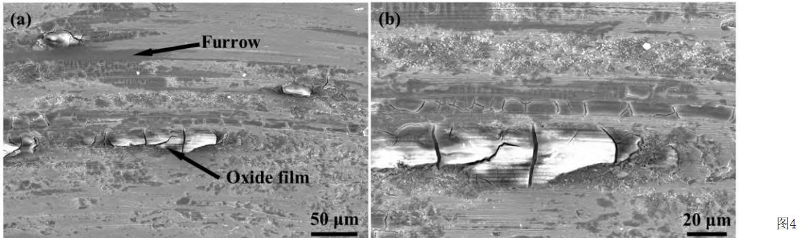 钛合金晶粒尺寸与强度关系,晶粒大小对金属材料高温力学性能