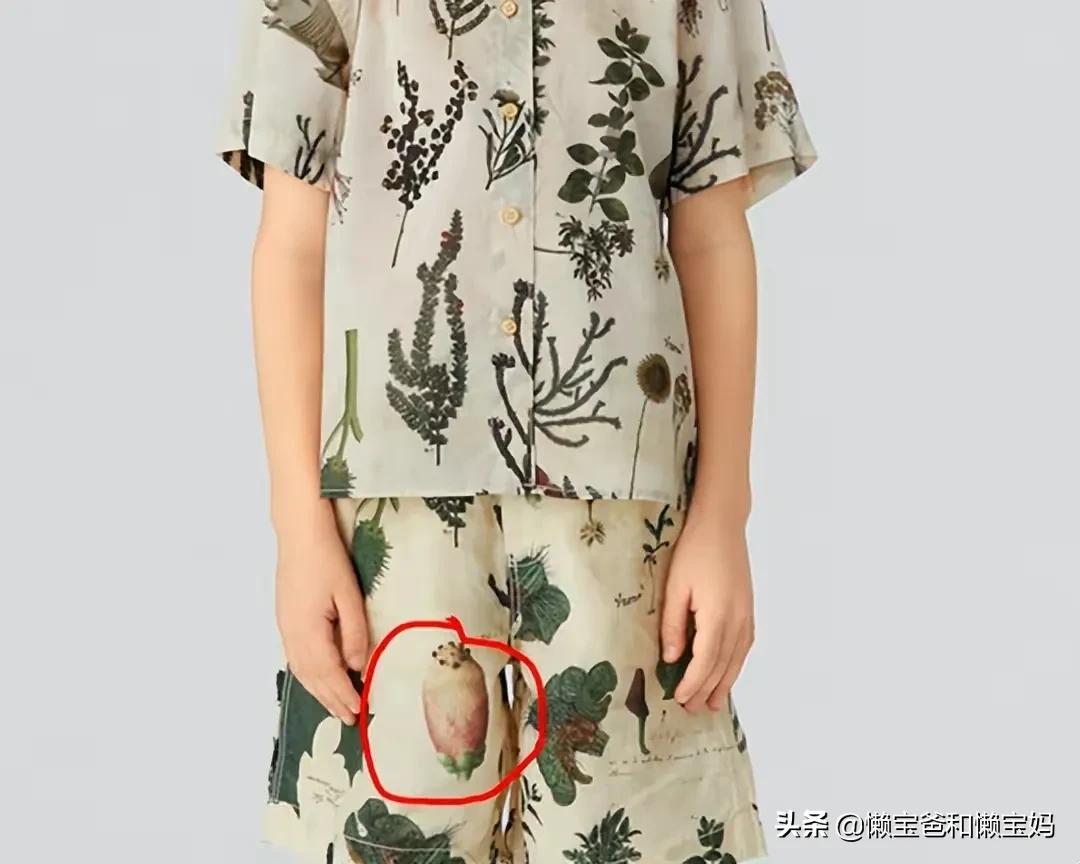 如何看江南布衣事件,江南布衣最终结果