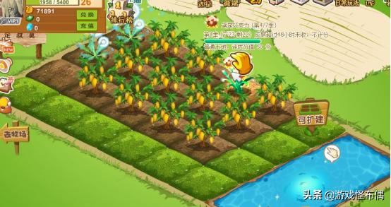 妹子因游戏频被偷菜，怒花8千把家园改成刀山火海，意外火遍全服