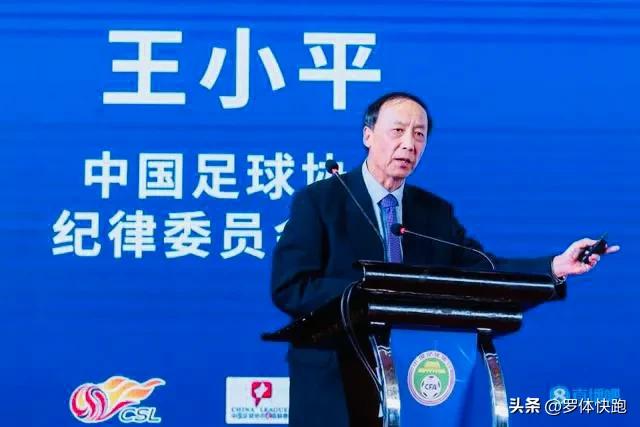 足协王小平判罚,足协王小平接受调查