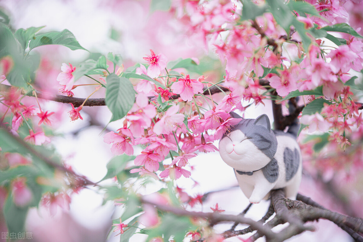 暖心走心的经典短语个性签名,暖心自带哲理的签名句子