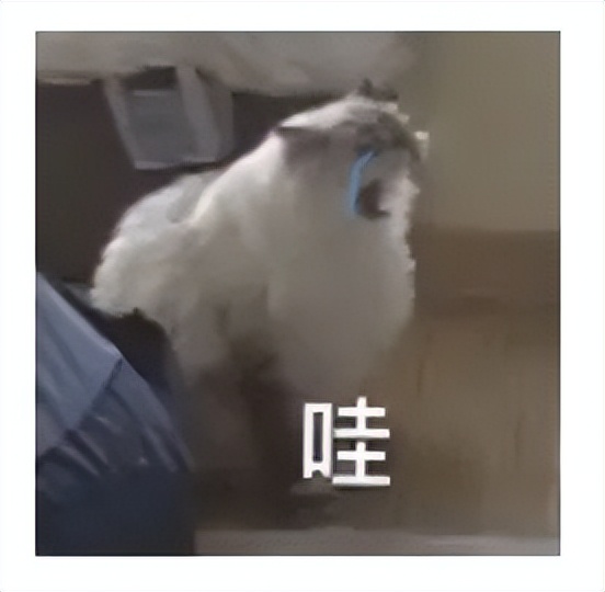 点痣有什么讲究和忌讳,有痣别乱点这两种方法祛痣才靠谱