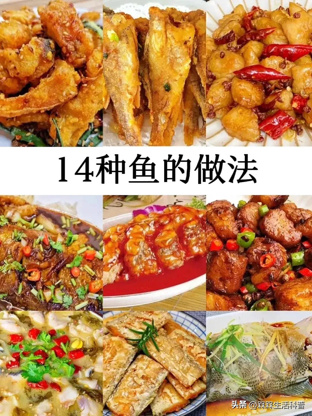 各种鱼图解大全,100种常见家常鱼的图片