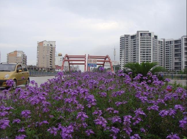 朱道来：*子珍贺**坚信他是毛主席失散的儿子，39岁去世后身世成谜