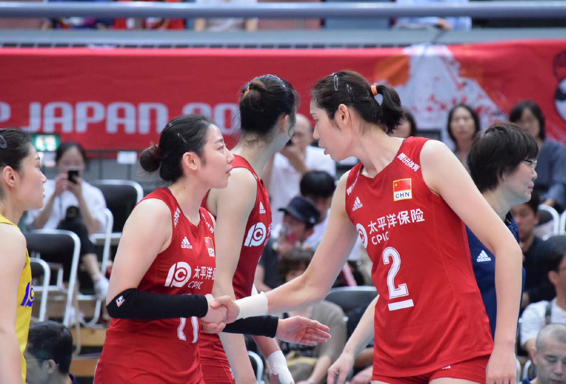 缘妙不可言感恩遇见,缘妙不可言董卿