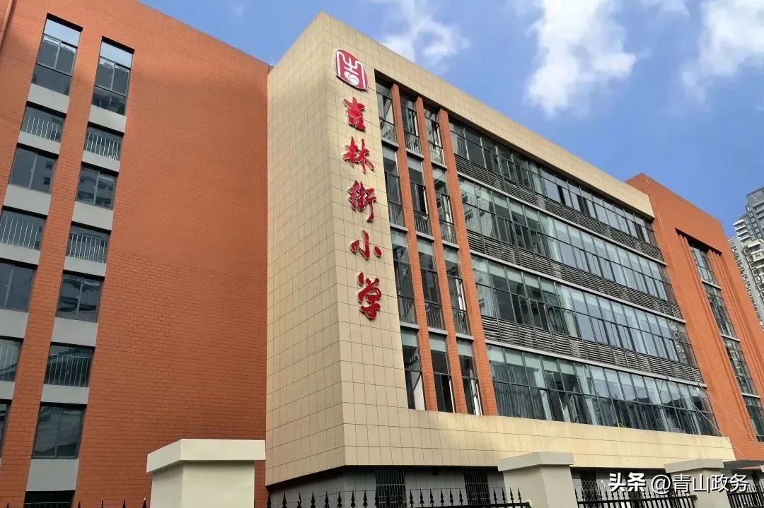 闈掑北鏁欒偛瑙嗛,闈掑北鏁欒偛浠嬬粛