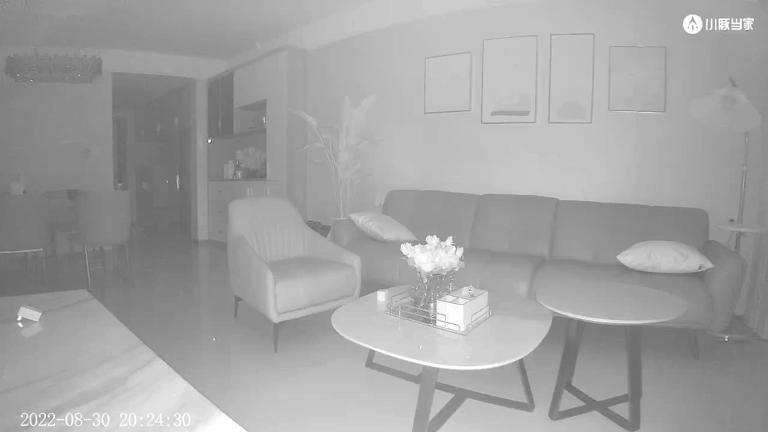 oppo家用智能摄像头,oppo智能摄像头400万