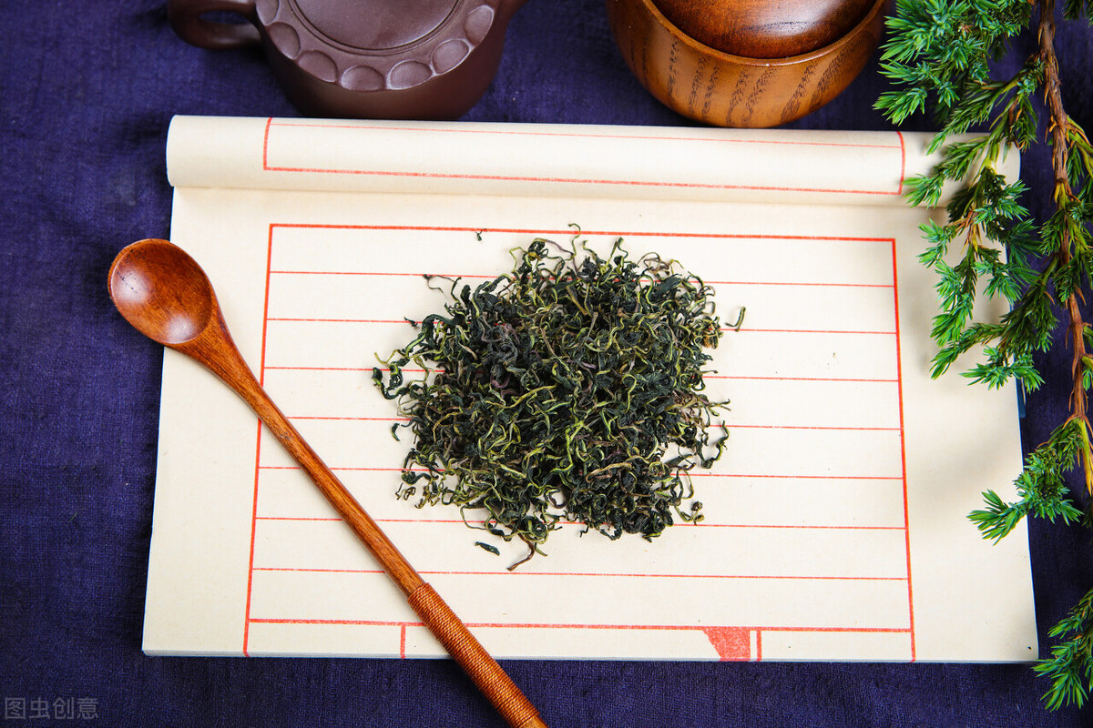 蒲公英配桑叶功效神奇,蒲公英的特性功效与作用有哪些