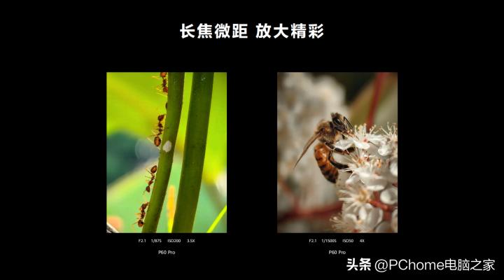 手机热销榜第一名华为p60,华为q1智能手机销量排行