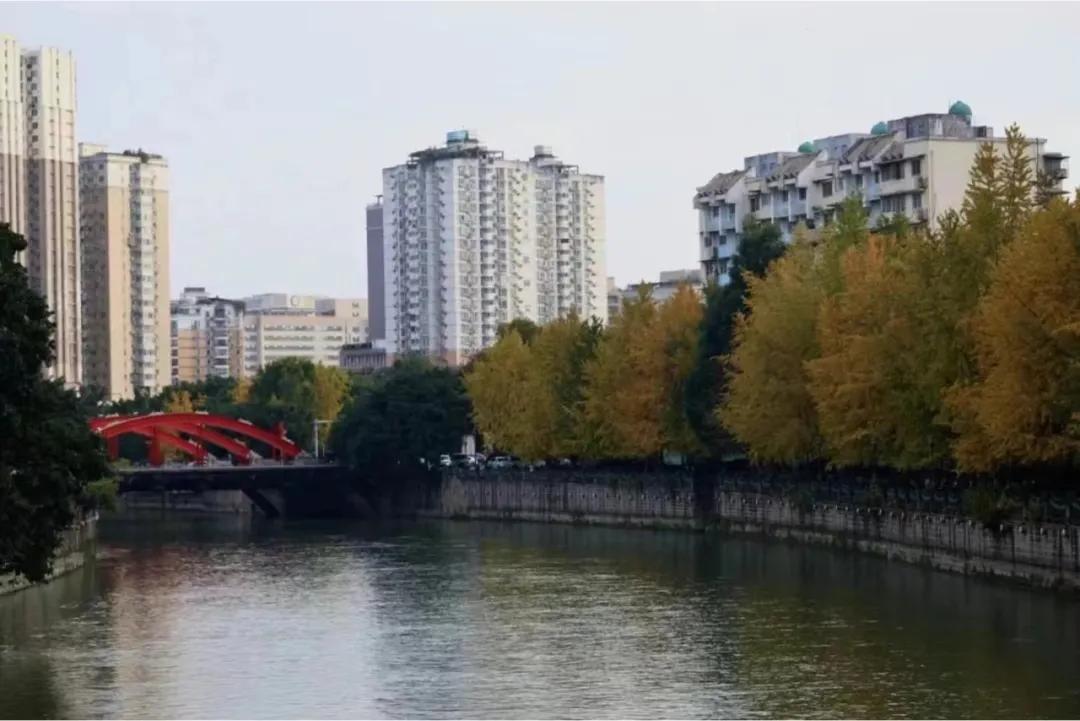 李镇西说最好的教育莫过于,李镇西怎么教育女儿