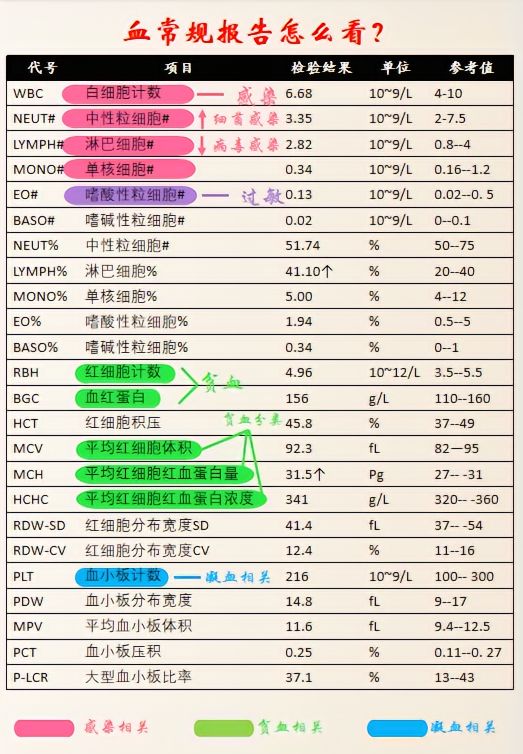 血常规报告怎么解读,血常规报告视频解说