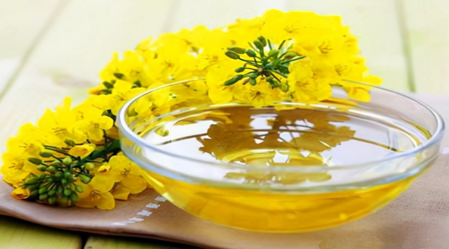 有花生油菜籽油橄榄油还有什么油,橄榄油花生油菜籽油葵花籽油