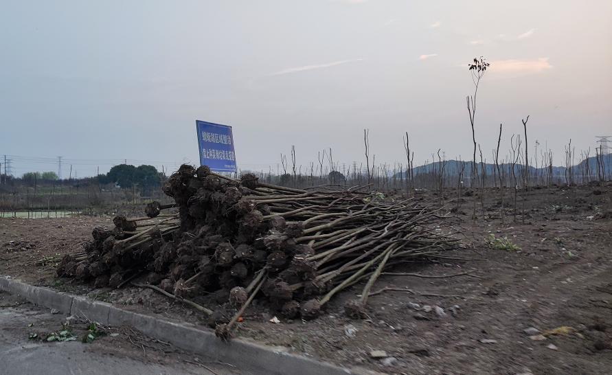 又是一年春来到处处美景,又是一年春来到图片