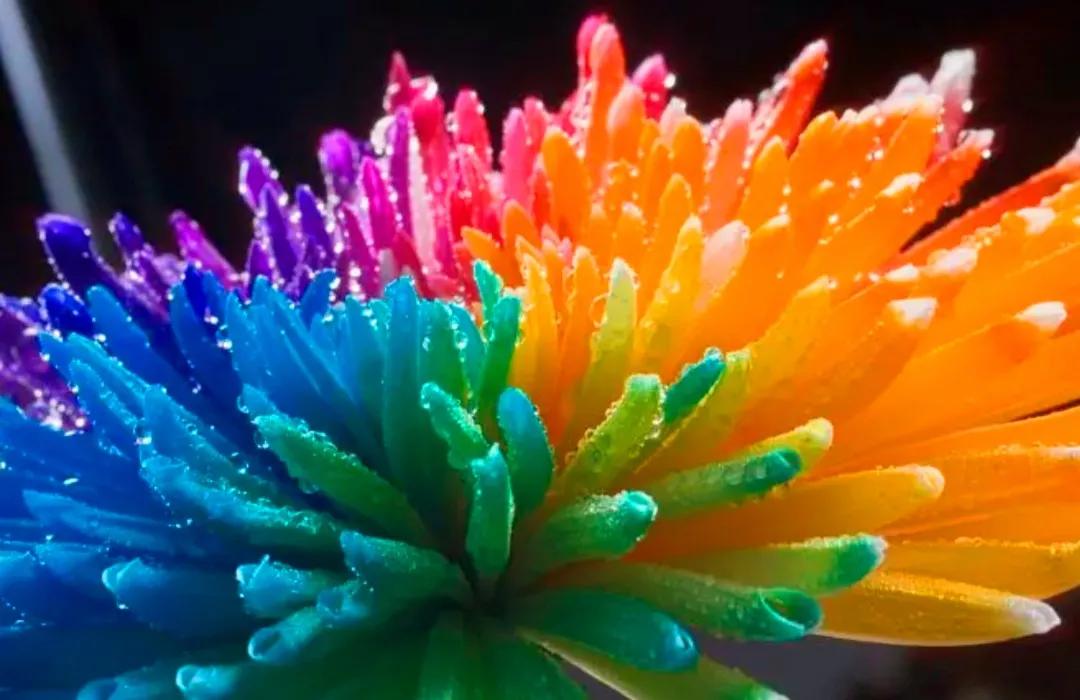 什么是“颜色情人”||今天才明白。色盲人请远离，避免迷惑双眼！