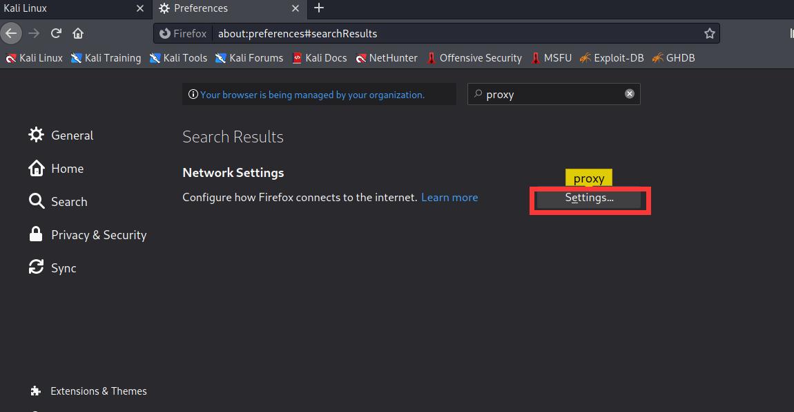 kali中burpsuite怎么汉化,kali里面自带burpsuite吗