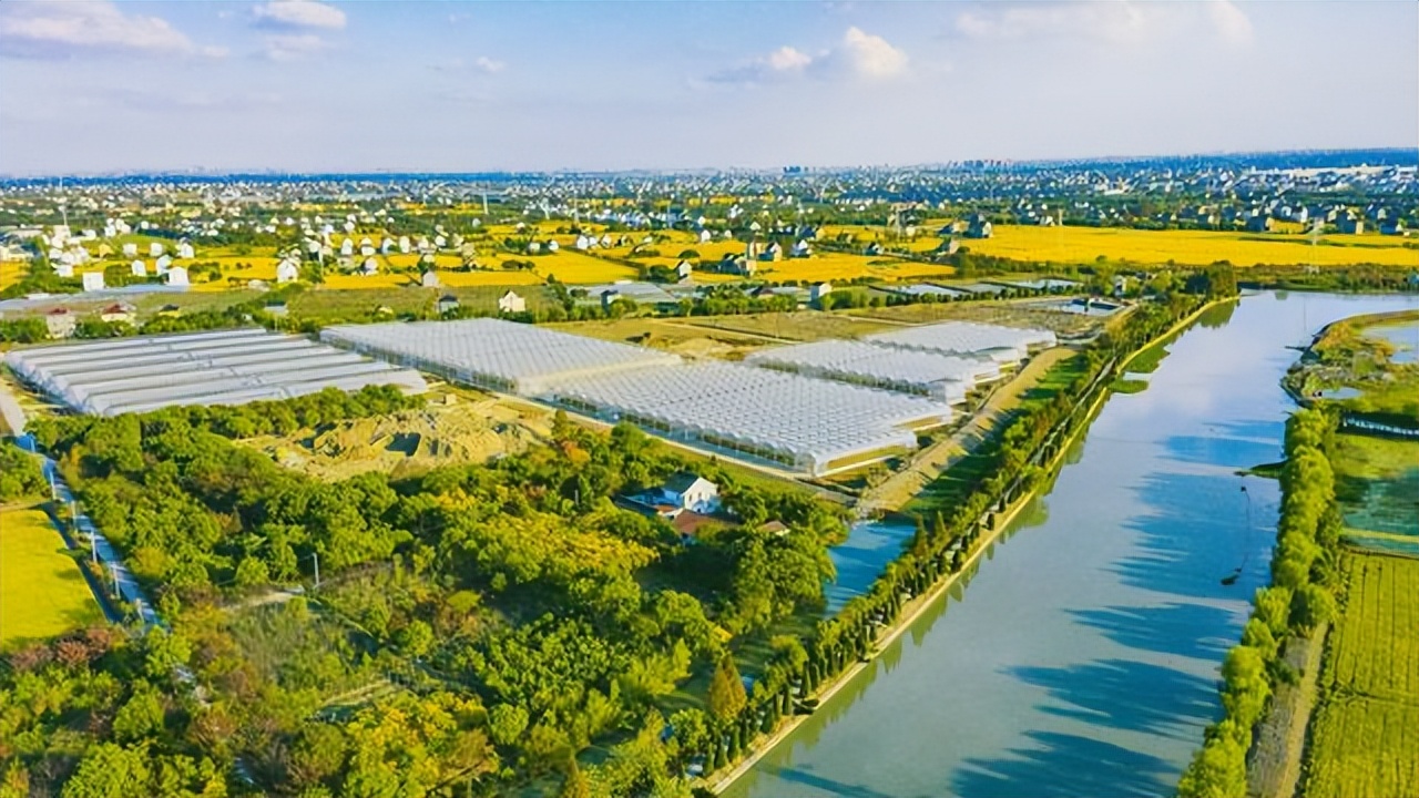 平湖钢材市场旧改,平湖最大的批发市场在哪里