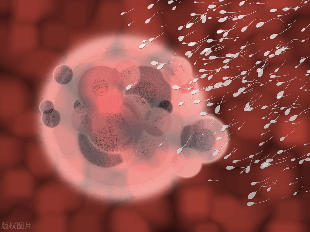 1分钟读懂前列腺液