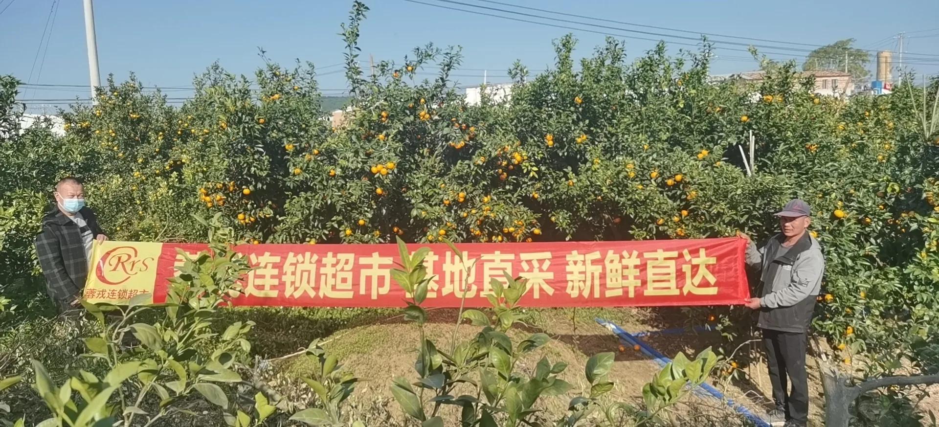 蓉戎连锁超市：2023年精英管理层团建拓展培训圆满结营！