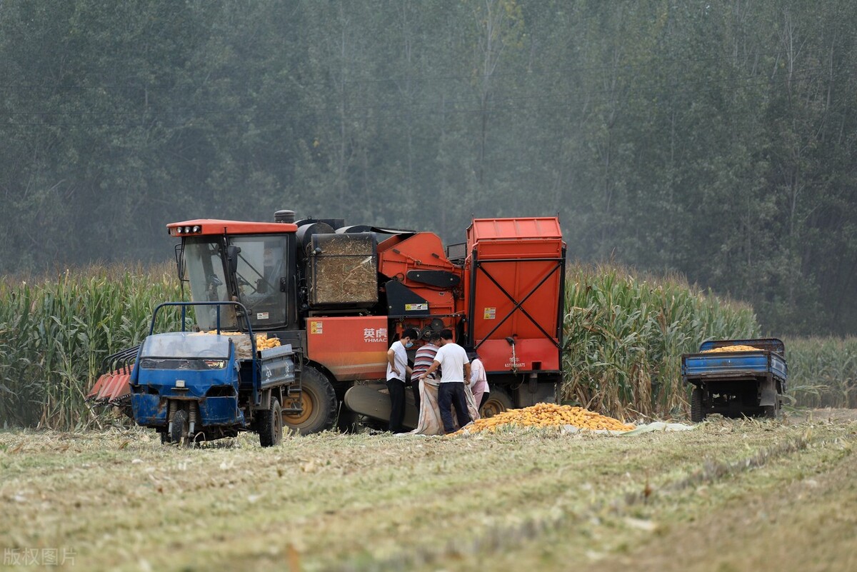 久保田4yzb-3型玉米收获机,久保田玉米收割机四行多少钱一台