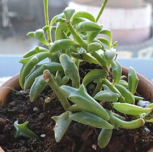 美丽的大自然的作文,美丽的大自然现代诗