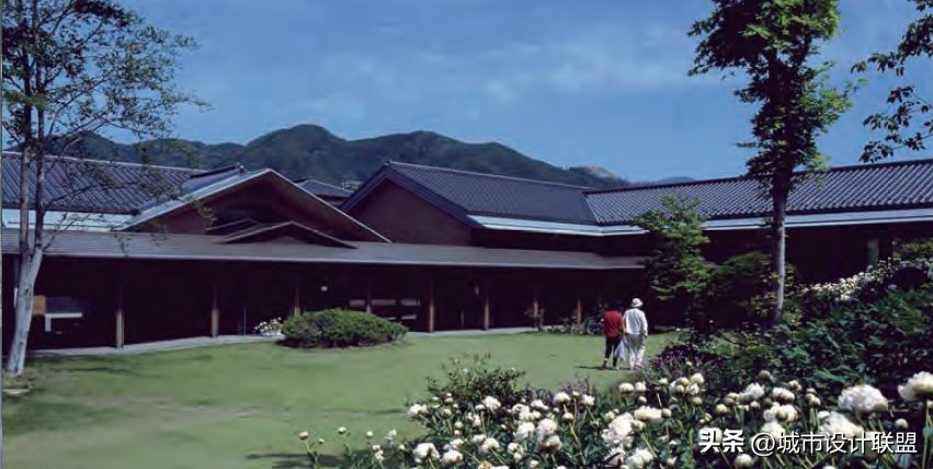 乡村振兴和乡村治理典型经验,乡村治理的发展与创新