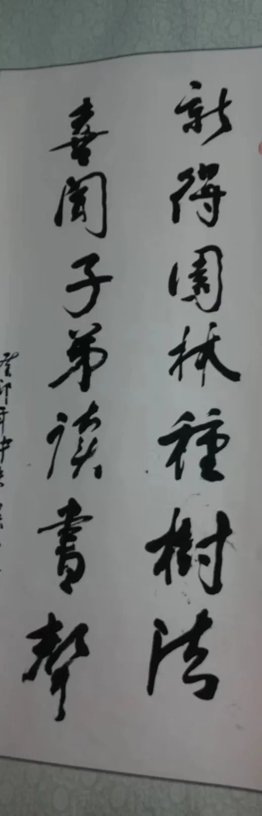 吴张一家互为嫁娶亲上亲——探花张岳崧后裔，琼海认亲访亲记