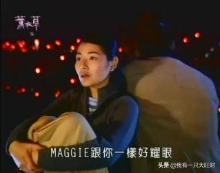 薰衣草从零开始,薰衣草诠释爱情