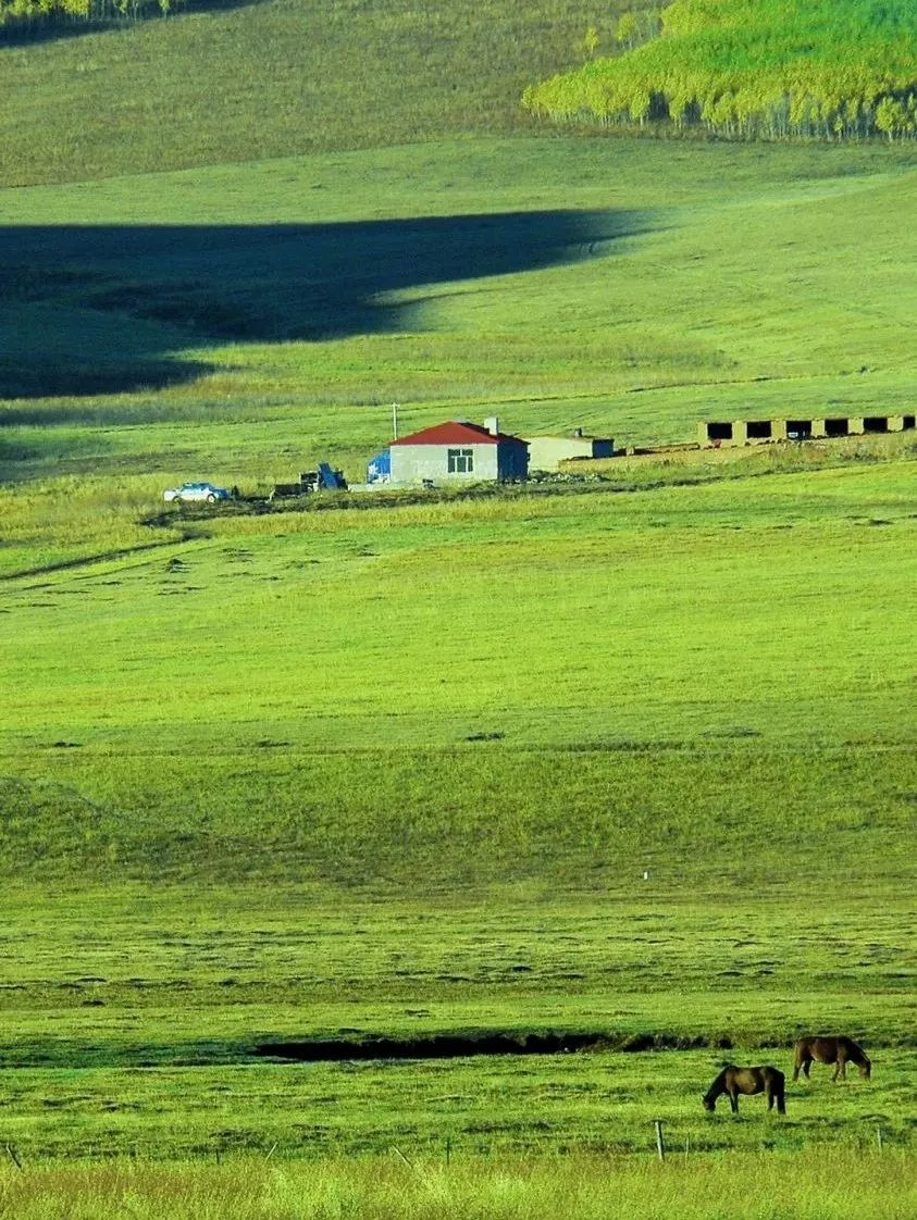 向北向北！|“美”在内蒙古