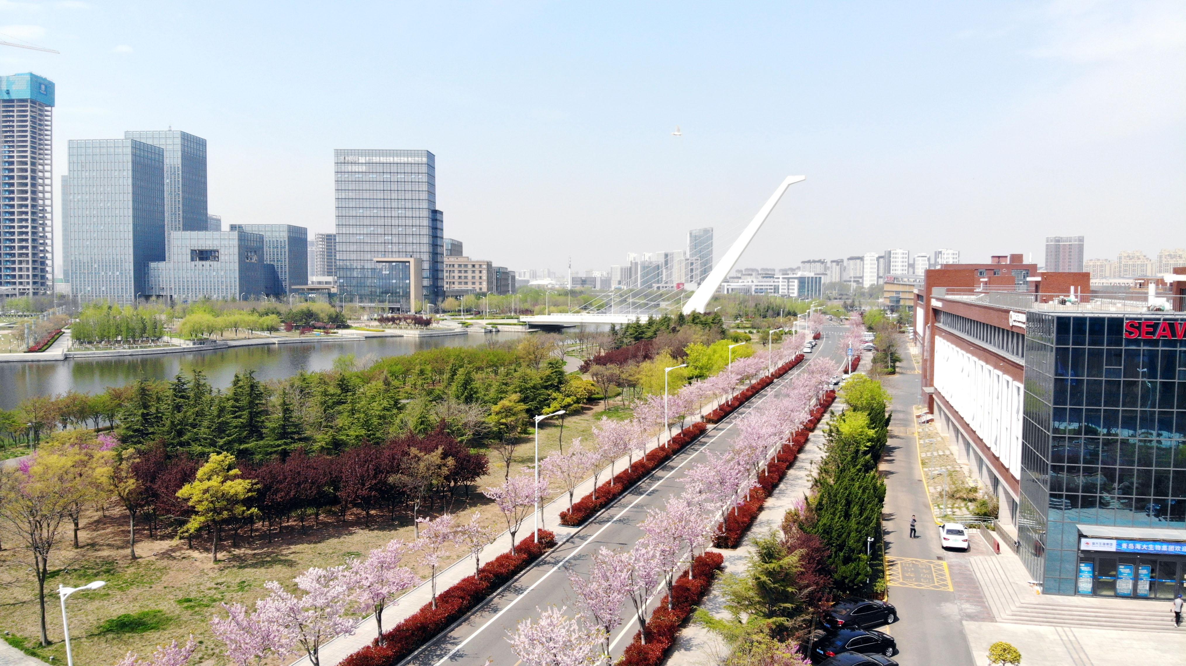 青岛世纪公园青岛亲子游乐好去处,适合遛娃的四季亲子乐园青岛