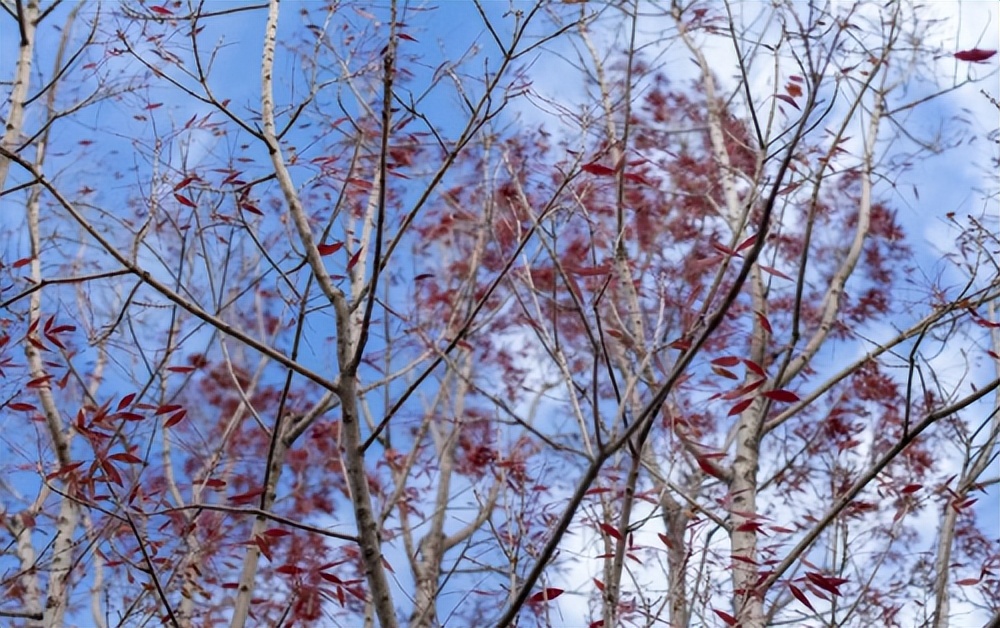 固特异山道巡礼,固特异大连发现之旅