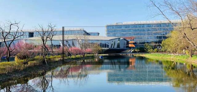 阿里巴巴离职后的真实感受,离职后的阿里巴巴