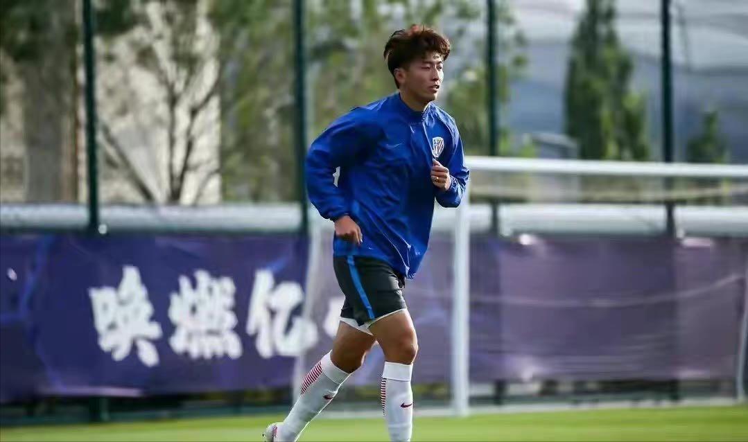 中超申花欠薪事件,申花俱乐部欠薪多少