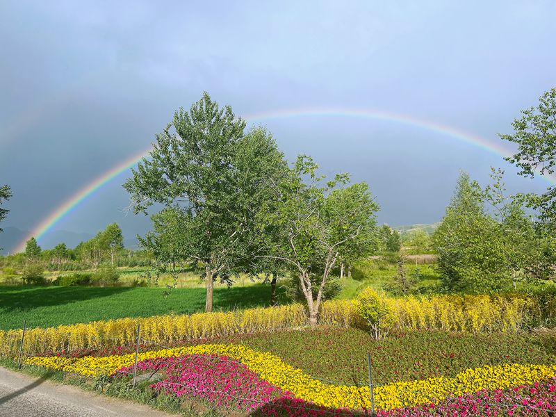 青海互助:“彩虹之乡”的民族团结故事